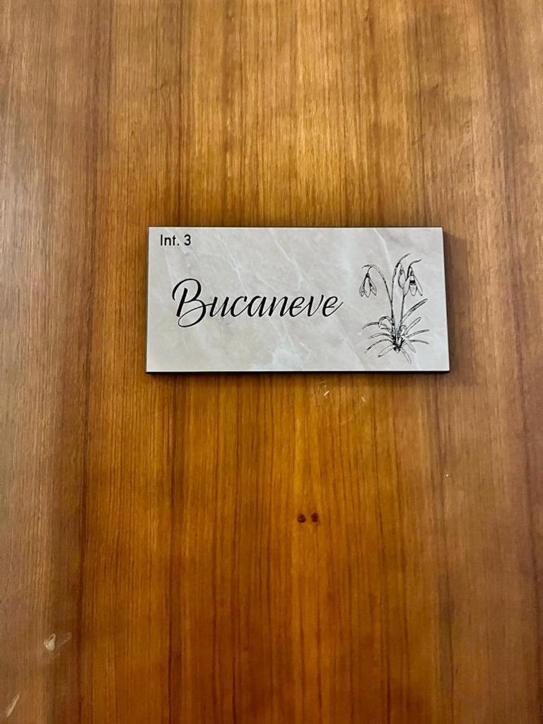 Bucaneve photo 1