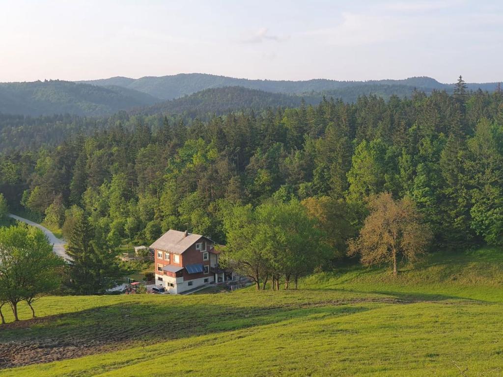 Apartma narava