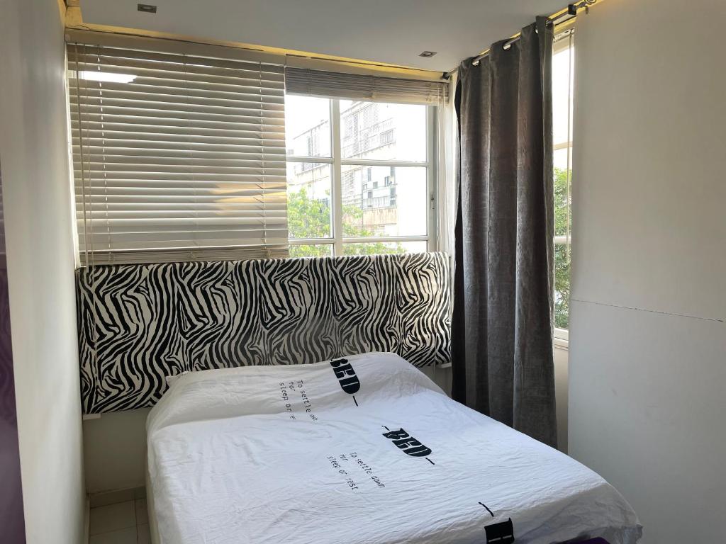 Appartement , centre-ville photo 3