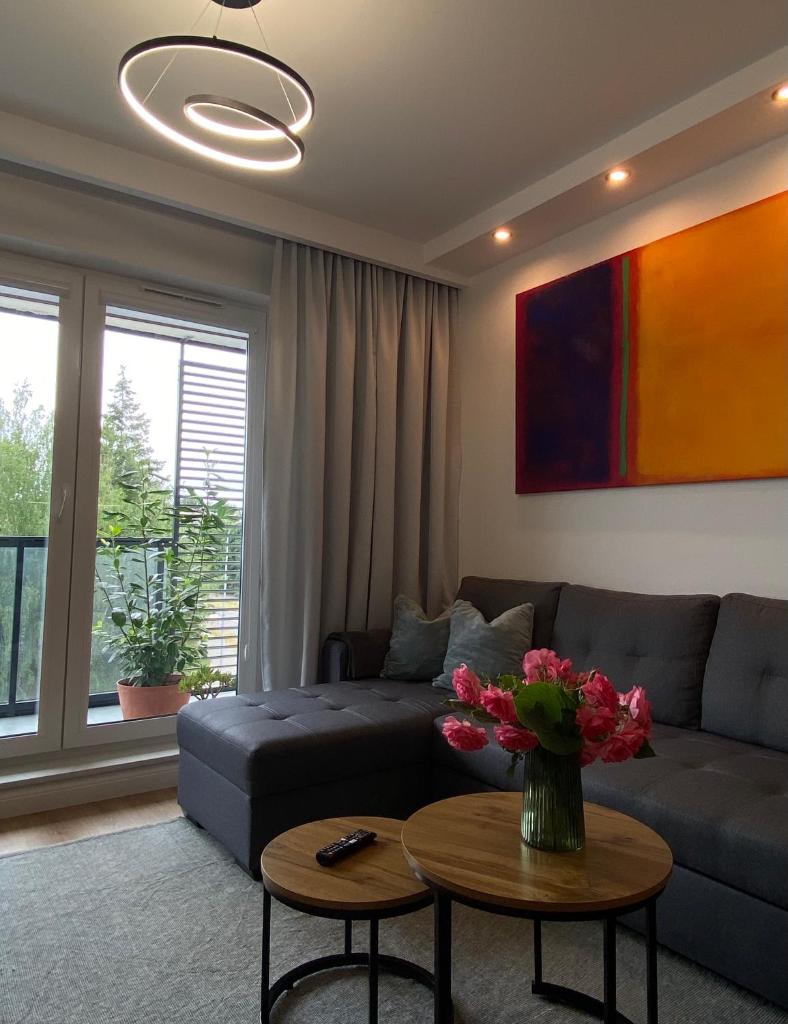 Apartament Dekerta free parking, duży taras, smart tv