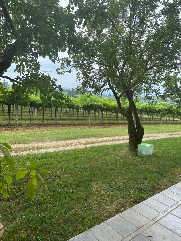 Agriturismo Fioravante photo 2