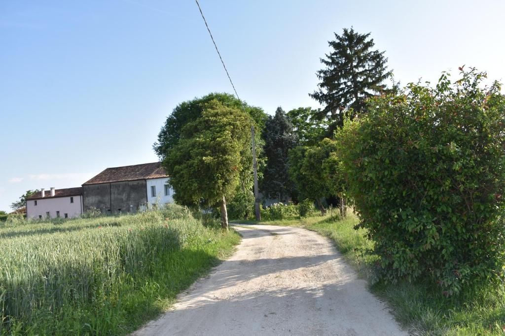 TENUTA BORGATO MORELLI photo 2