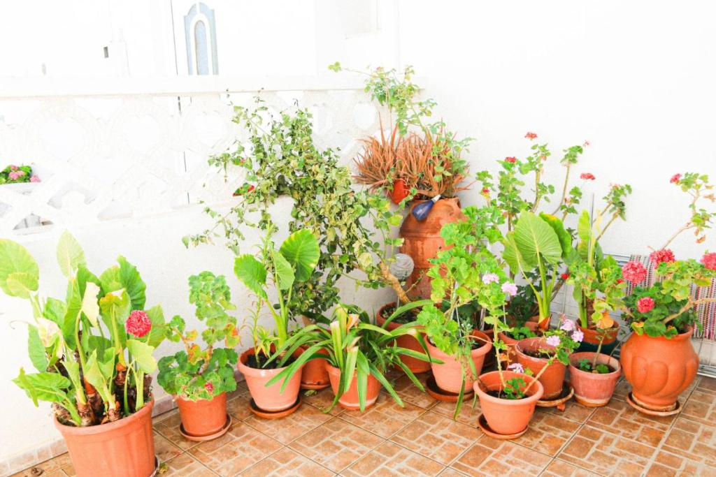 Traditional House in Laerma photo 2