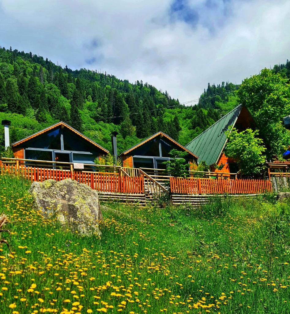 Yayla Bungalov
