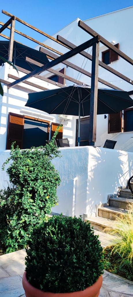 Trikorfo Bungalows photo 2