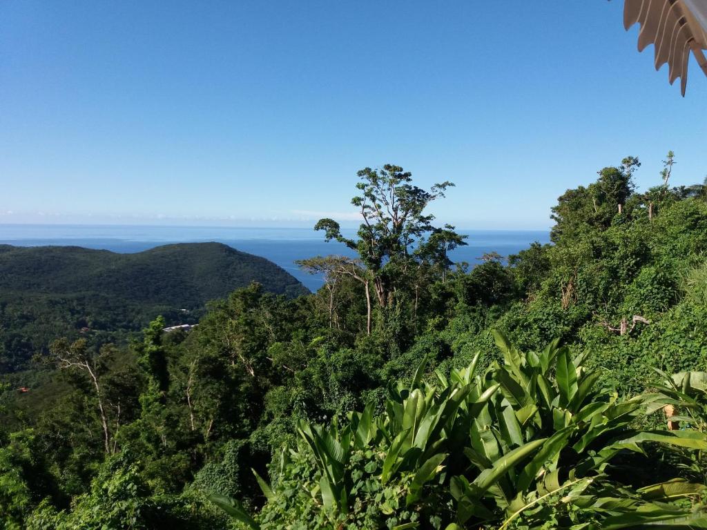 Beausejour Guest House photo 4