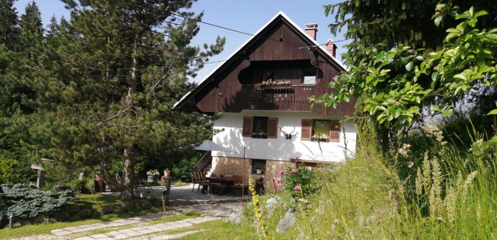 APARTMENT CHALET -BOHINJ- Pokljuka- Triglav National Park photo 2