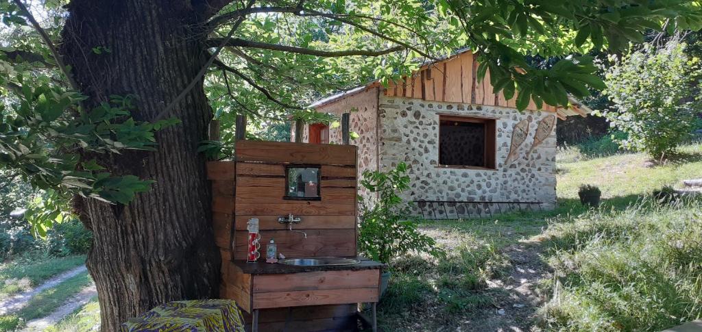 le cabanon photo 2