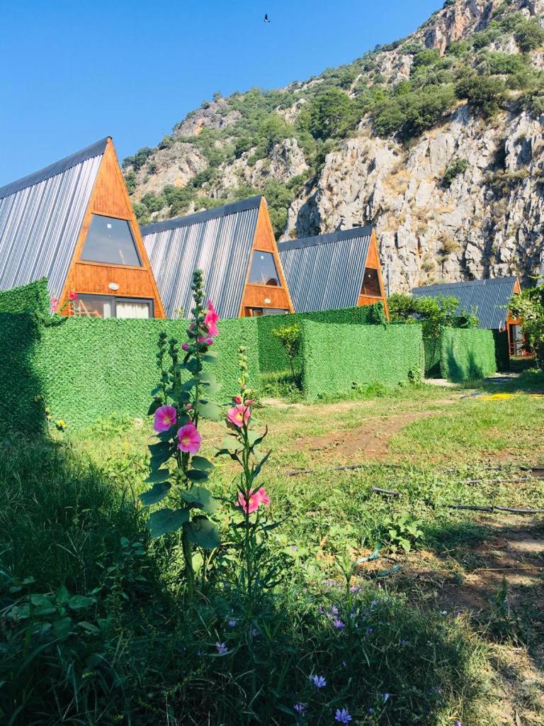 Aşı garden bungalow evleri photo 1