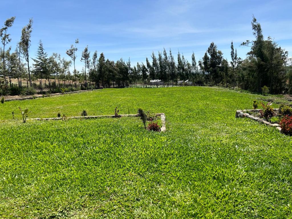 The Fairway Residence photo 3