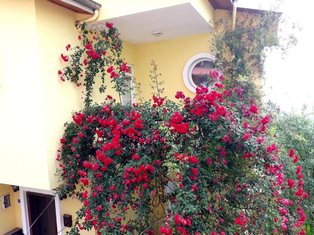 Villa Akyazı photo 1