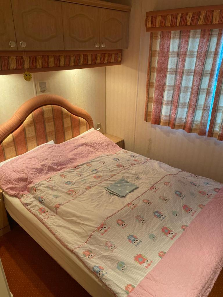ALBA Pelnik domki holenderskie photo 1