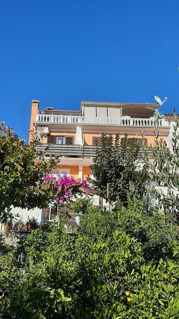 Apartment Milica photo 3