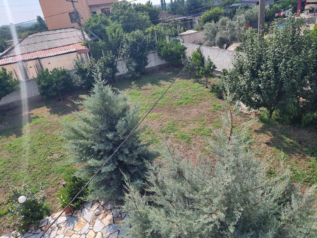 Liora's Vila photo 2