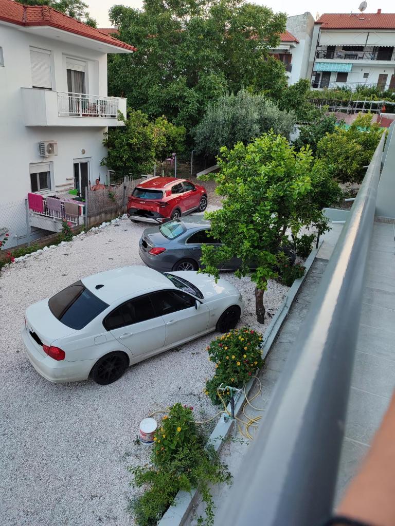 Alexander Luxury Apartments & Studios photo 1