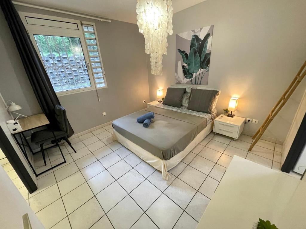 Ti Palmier ,1 chambre climatisée, wifi fibre, vue mer, sans vis-à-vis, parking devant l entrée photo 4