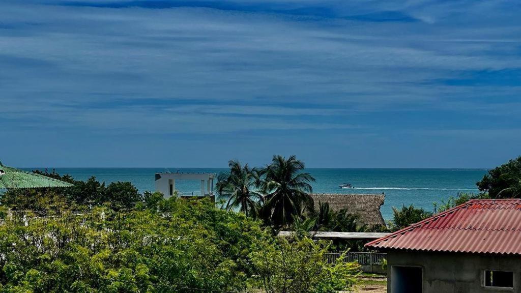 Palm Beach Resort photo 2