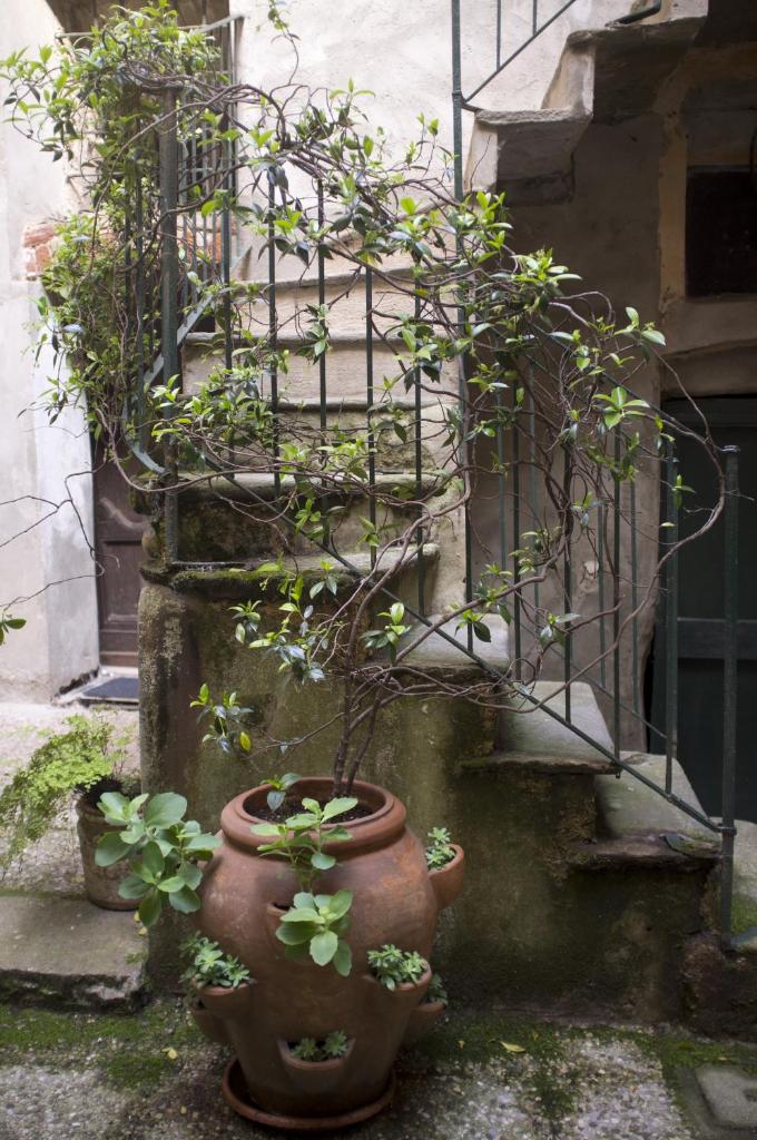 Sotto i merli photo 2