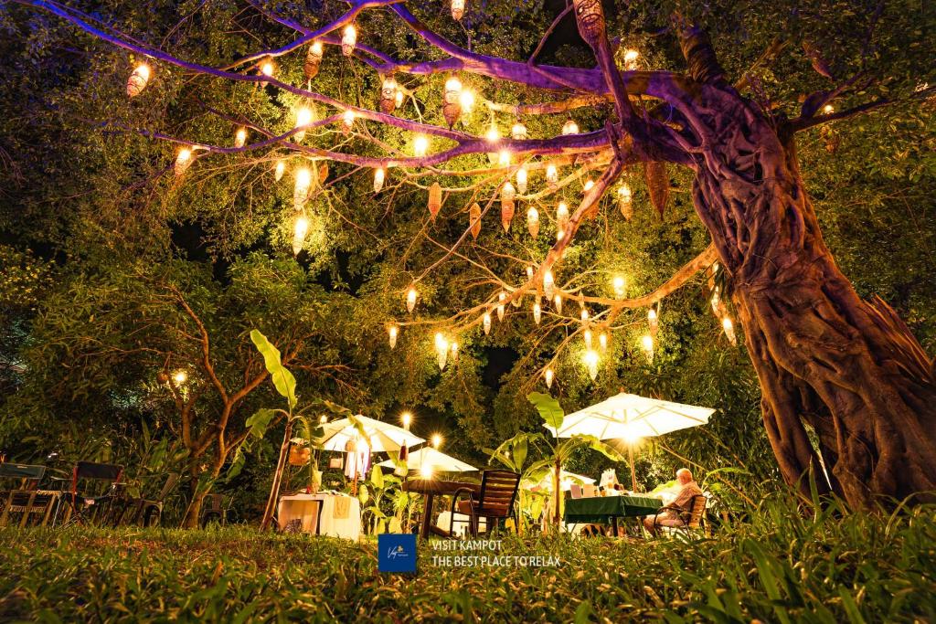 Devi Kampot Resort at Phum Kampot