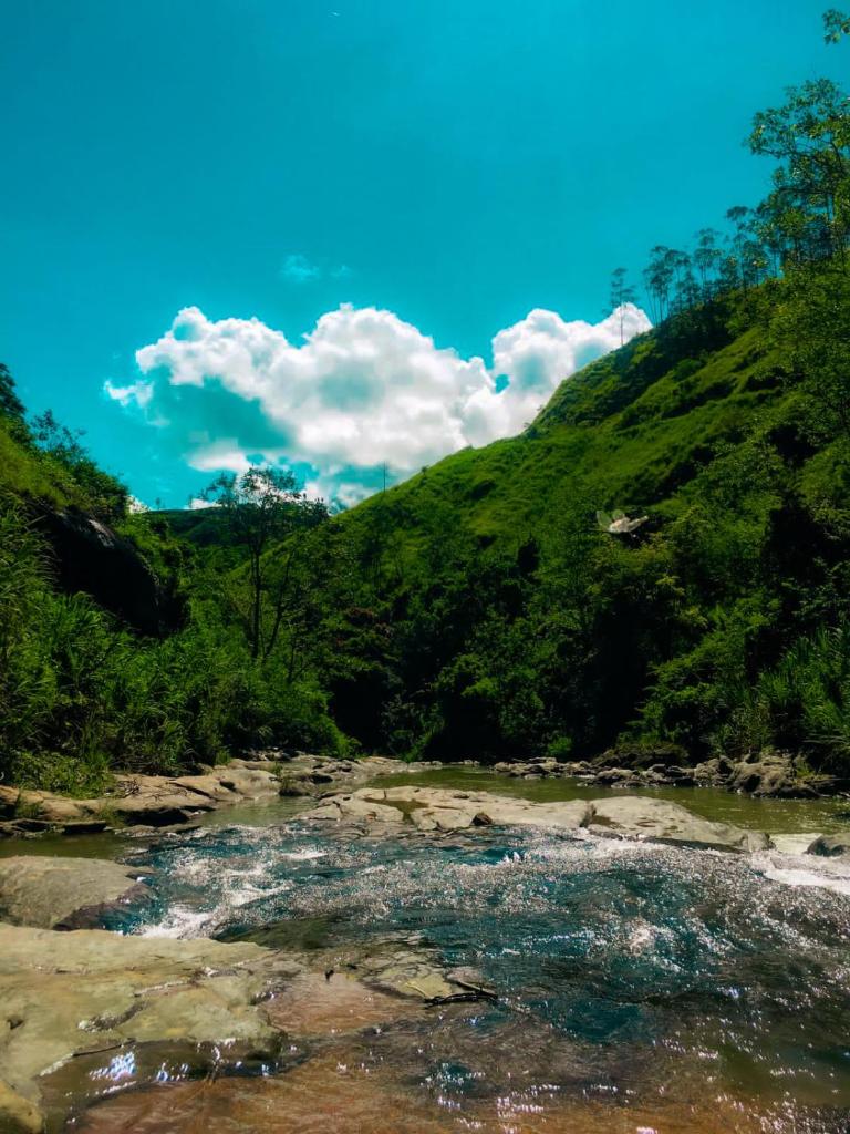 View paradise photo 1