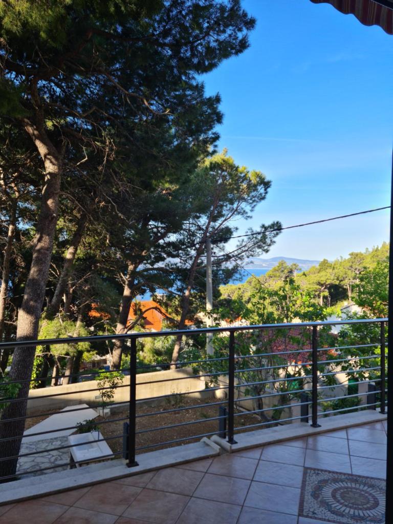 Vila nel verde photo 3