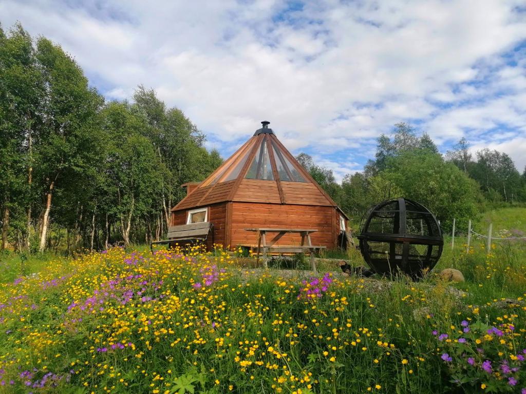 Hessdalen Ufocamp photo 2