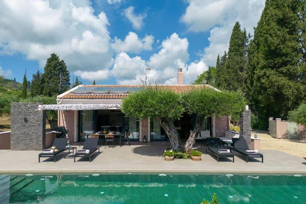 Villa Theolia photo 2