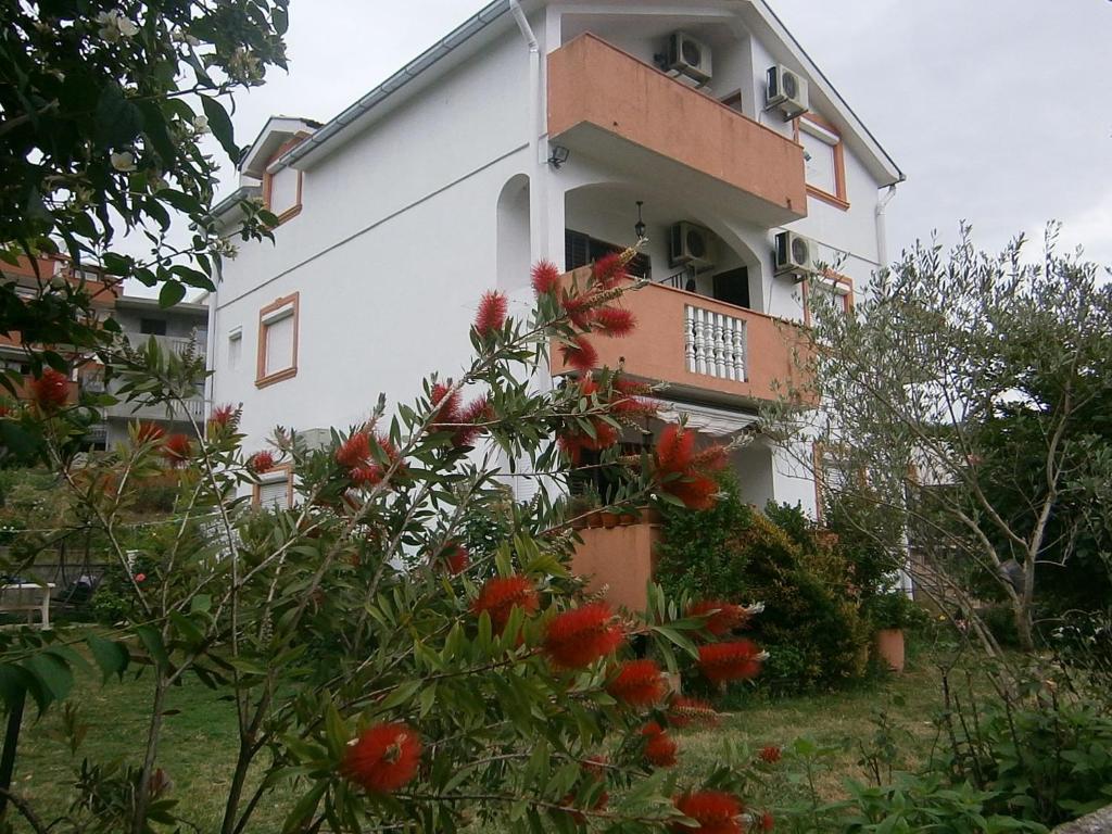 Apartments Stevović photo 1