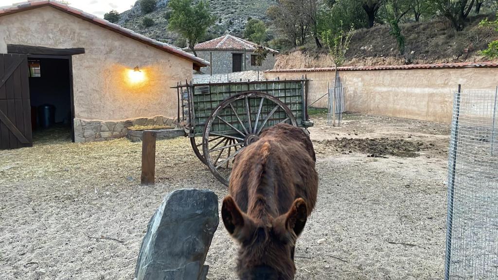 Las Villas de Fuentidueña photo 2