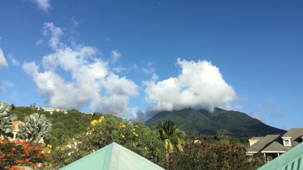 Mandevilla Nevis photo 3