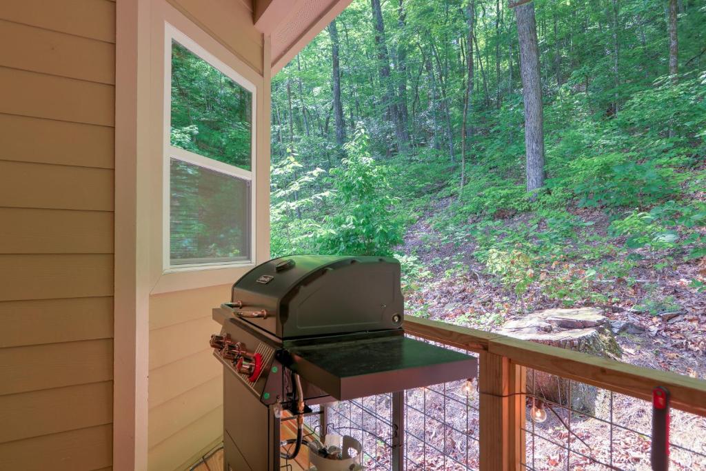Blue Ridge Delight photo 3