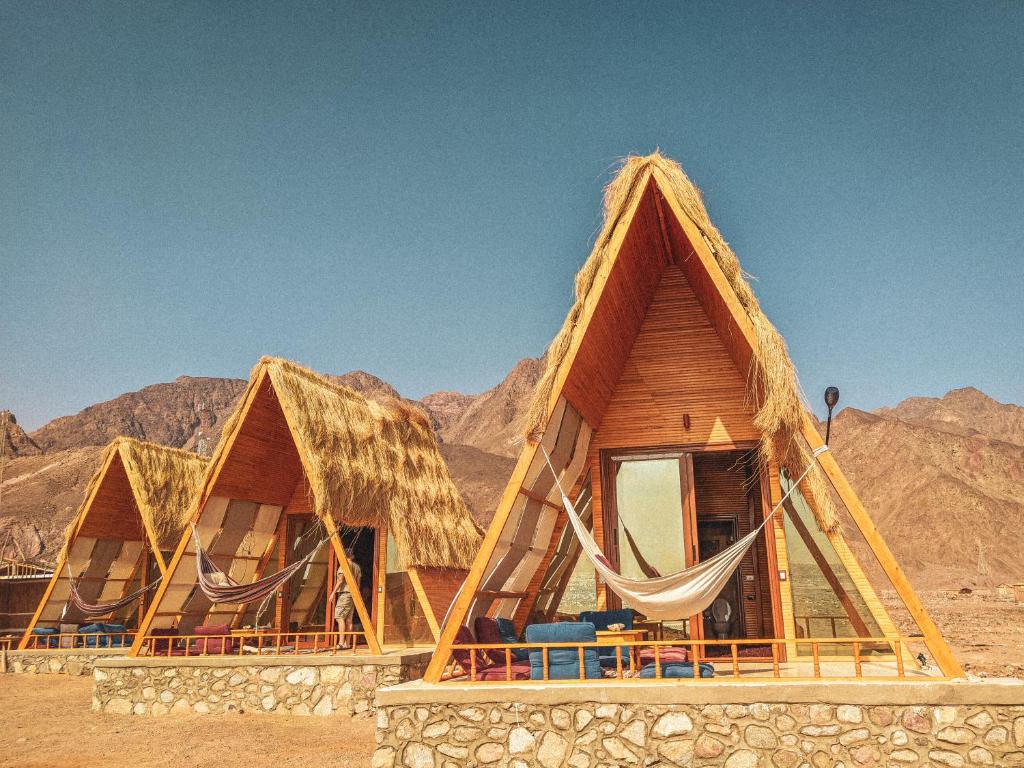 Aladdin Camp