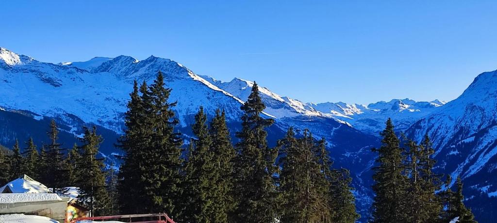 F2 front de neige la Rosière photo 3