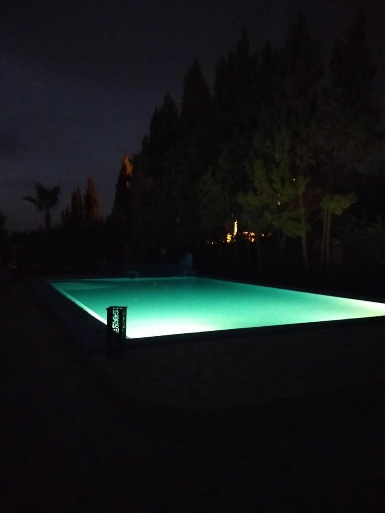 la Paysanne by Souna photo 3
