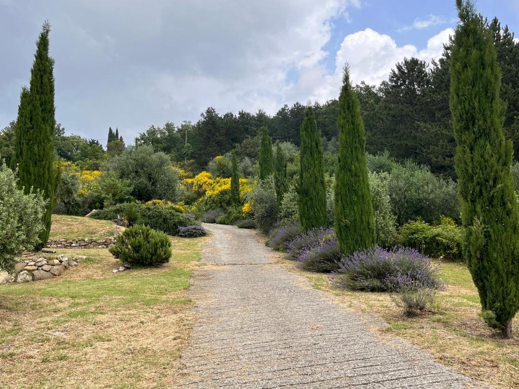 Villa Bella Costa photo 2