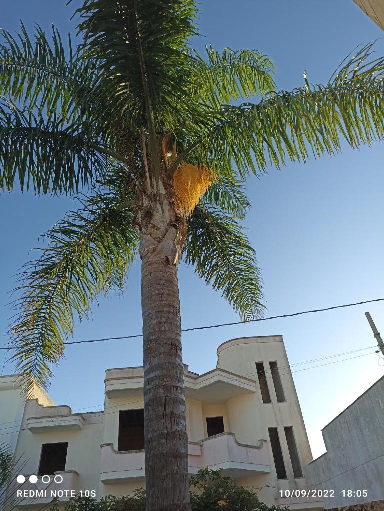 Villa Confalonieri photo 2