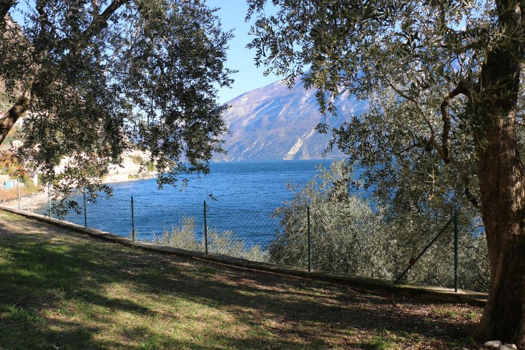 La Casa sul Lago Apartments - Olive Tree Apartment photo 4