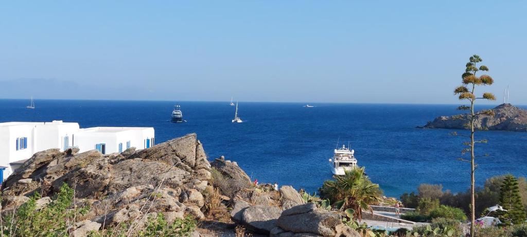 Traditionnal Mykonian Studio