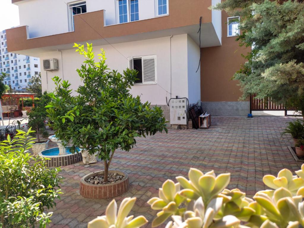 Vila Cikaj photo 4