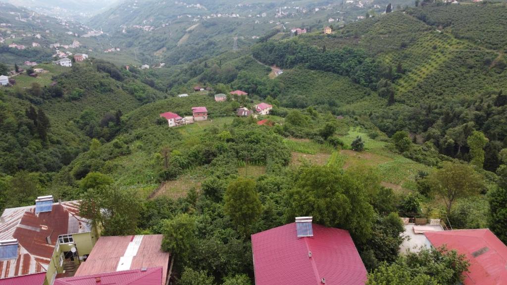 Dağ evi photo 4