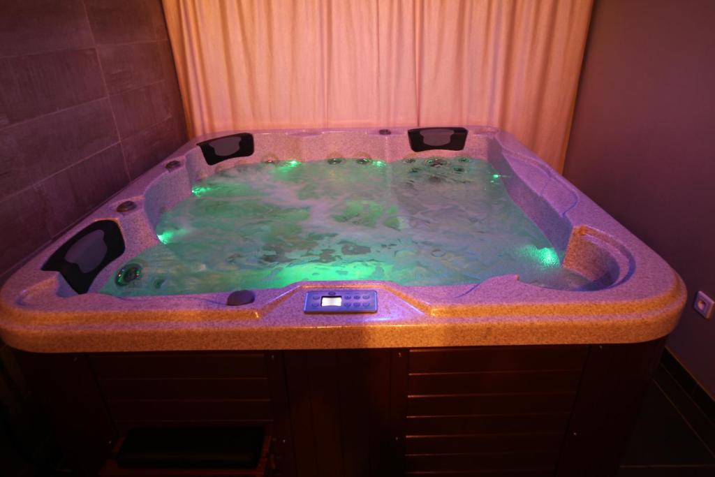 SUITE spa accès autonome photo 3