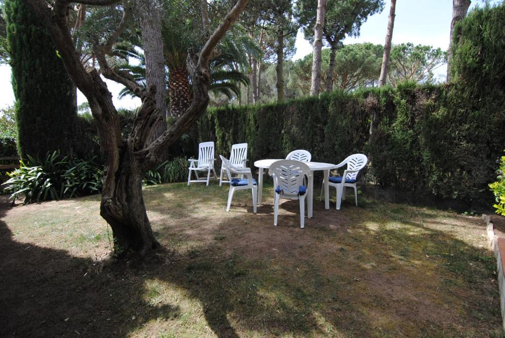 304 - Casa Farena 4 photo 4