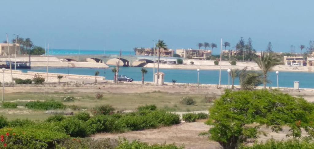 مارينا 2 photo 2
