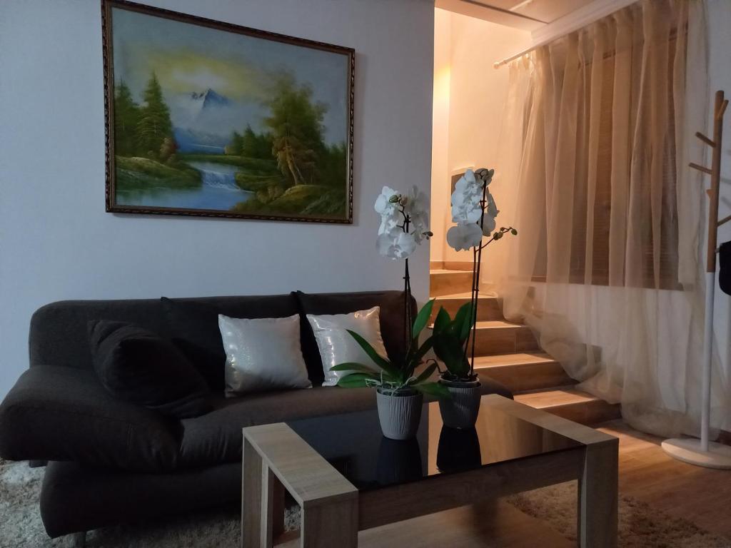 Villa Aura photo 1