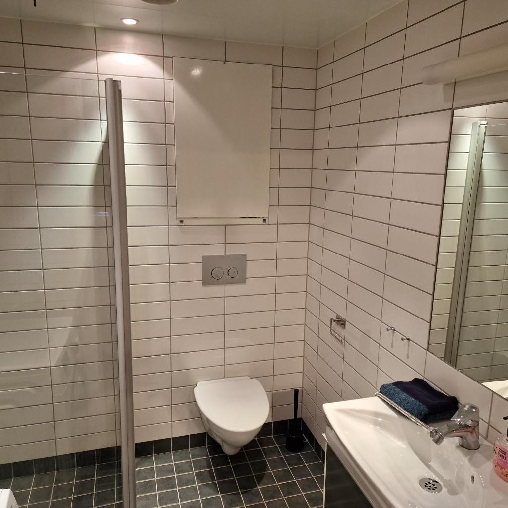 Spacious 1 bedroom apartment photo 3