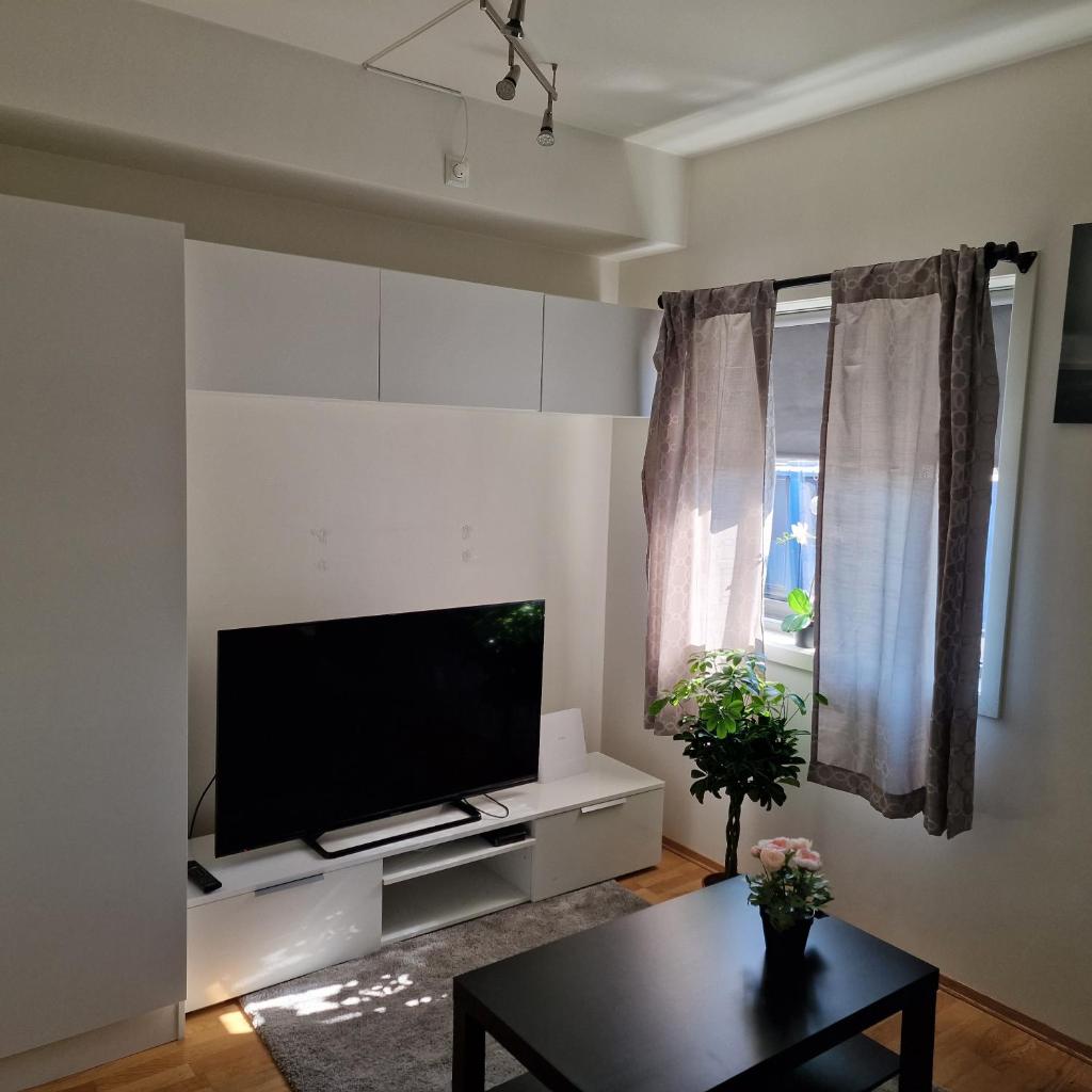 Spacious 1 bedroom apartment photo 2