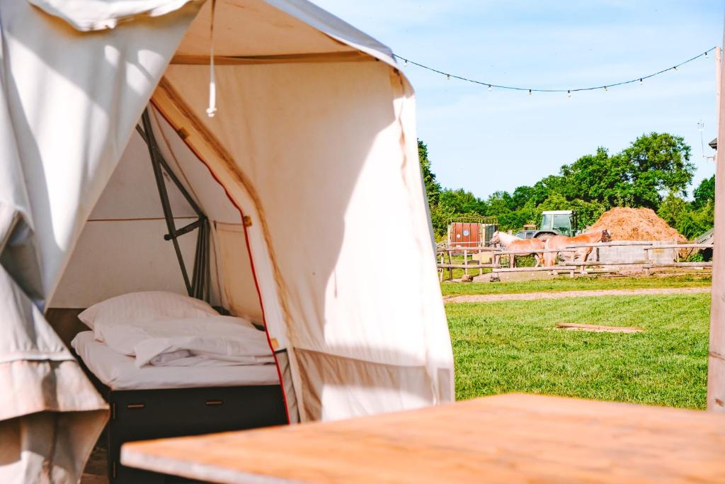 DOMO CAMP - Nature Glamping Hof Viehbrook photo 2