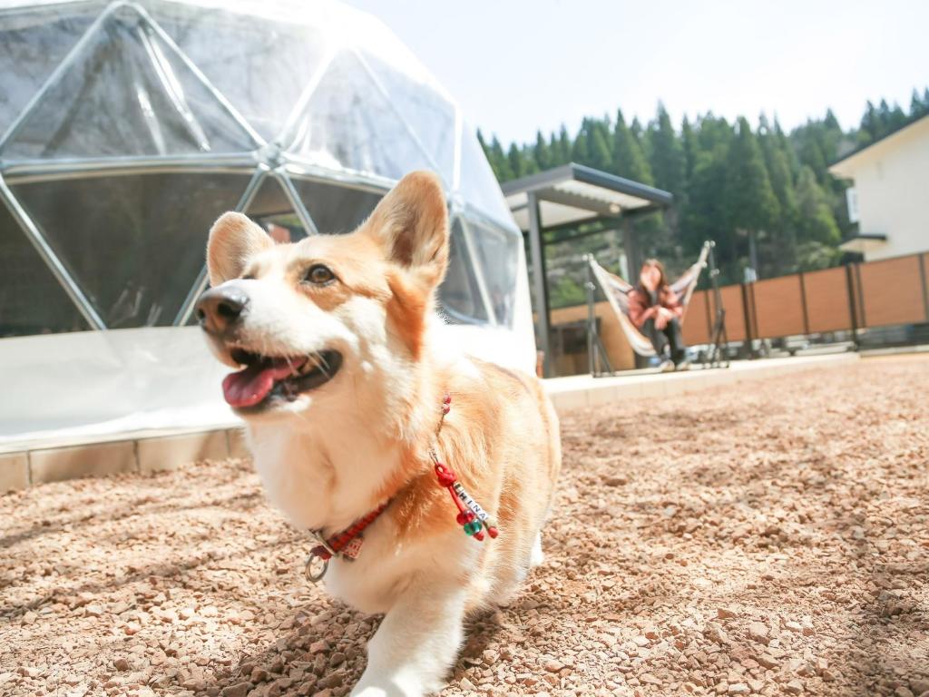 Lupo Forest "GRAN FOREST Echizen Miyama" - Vacation STAY 76029v photo 2