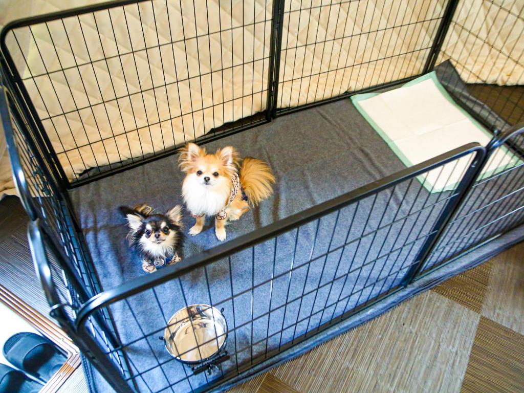 Lupo Forest "GRAN FOREST Echizen Miyama" - Vacation STAY 76029v photo 3