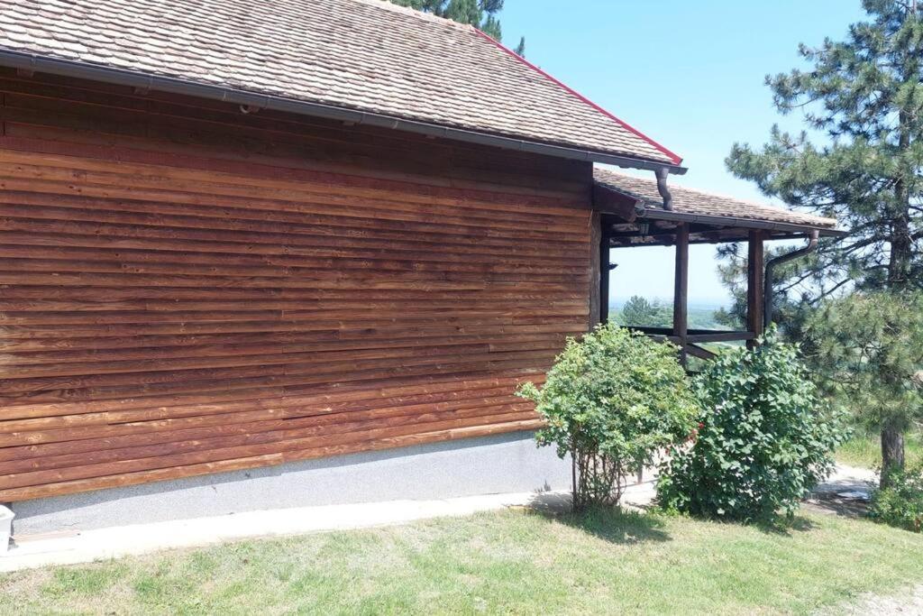vila gotiva alibegovac photo 3